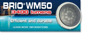 news_WM50_ENG.jpg