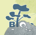 BiO2