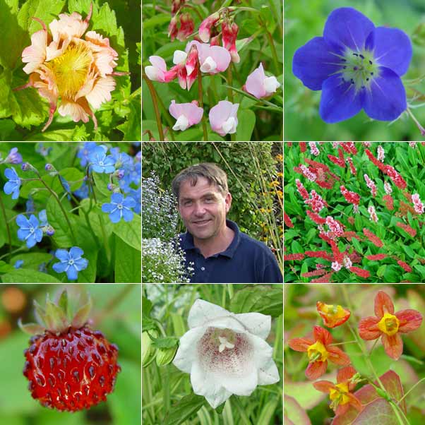 Cliquez ici pour consulter le catalogue de plantes vivaces du Jardin du Morvan, la pépinière de Thierry DENIS