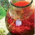 potmaceration120.jpg