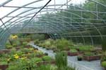 Jardin du Morvan