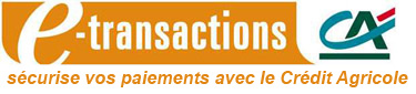 logo-etransactions-17c07.jpg