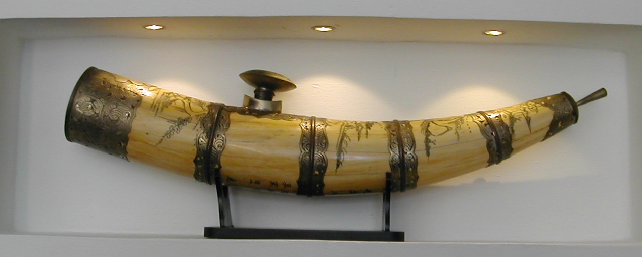 DSCN6572bis.jpg