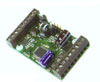 MAS8050001-vig.jpg