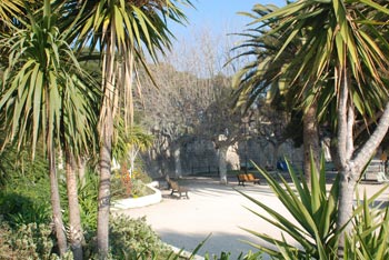 DSC_0007.jpg