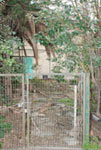 DSC_0017-1.jpg