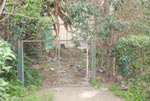 DSC_0018-1.jpg