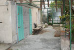 DSC_0022-1.jpg