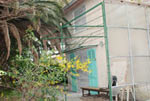 DSC_0027-1.jpg