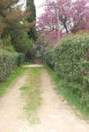 DSC_0030-1.jpg