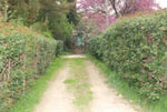 DSC_0031-1.jpg