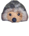 Herisson, la mascotte du Jardin du Morvan